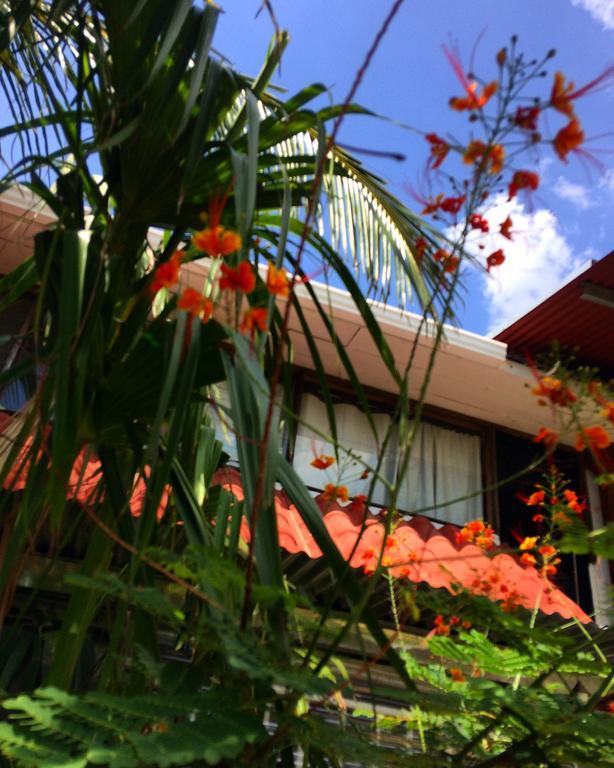 Flamingo Cabinas Hotel Playa Flamingo Eksteriør billede